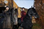 Lunteren 22 november 2021
Presentatie paarden calendar waarvan opbrengst naar het KWF gaat . Bridget Maasland en Samantha Steenwijk krijgen het eerste exemplaar . Ze kopen per paard aanrijden