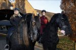 Lunteren 22 november 2021
Presentatie paarden calendar waarvan opbrengst naar het KWF gaat . Bridget Maasland en Samantha Steenwijk krijgen het eerste exemplaar . Ze kopen per paard aanrijden