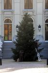 Den Haag 7 december 2021
Prinses Amalia is vandaag 18 jaar oud geworden . Prinses Amalia is met haar moeder Koningin Maxima wezen winkelen . Kerstboom en kerstversiering bij Huis ten Bosch