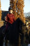 Lunteren 22 november 2021
Presentatie paarden calendar waarvan opbrengst naar het KWF gaat . Bridget Maasland en Samantha Steenwijk krijgen het eerste exemplaar . Ze kopen per paard aanrijden