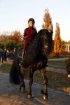 Lunteren 22 november 2021
Presentatie paarden calendar waarvan opbrengst naar het KWF gaat . Bridget Maasland en Samantha Steenwijk krijgen het eerste exemplaar . Ze kopen per paard aanrijden