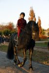 Lunteren 22 november 2021
Presentatie paarden calendar waarvan opbrengst naar het KWF gaat . Bridget Maasland en Samantha Steenwijk krijgen het eerste exemplaar . Ze kopen per paard aanrijden