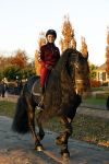 Lunteren 22 november 2021
Presentatie paarden calendar waarvan opbrengst naar het KWF gaat . Bridget Maasland en Samantha Steenwijk krijgen het eerste exemplaar . Ze kopen per paard aanrijden