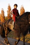 Lunteren 22 november 2021
Presentatie paarden calendar waarvan opbrengst naar het KWF gaat . Bridget Maasland en Samantha Steenwijk krijgen het eerste exemplaar . Ze kopen per paard aanrijden