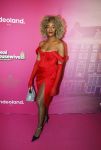 Amsterdam 22 november 2022
Presentatie Real Housewifes of Amsterdam in Hotel Krasnapolsky  van Videoland.  Maureen Powel