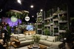 Amsterdam 8 december 2022
Masters Expo in de RAI. stand van Suns