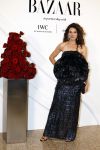 Amsterdam 15 november 2023
Harpers Bazaar woman of the year in het Stedelijk Museum . Anna Drijver