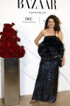 Amsterdam 15 november 2023
Harpers Bazaar woman of the year in het Stedelijk Museum . Anna Drijver