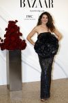 Amsterdam 15 november 2023
Harpers Bazaar woman of the year in het Stedelijk Museum . Anna Drijver