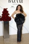 Amsterdam 15 november 2023
Harpers Bazaar woman of the year in het Stedelijk Museum . Anna Drijver