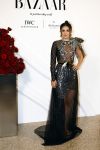 Amsterdam 15 november 2023
Harpers Bazaar woman of the year in het Stedelijk Museum . Karsu