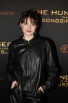 Amsterdam 14 november 2023
Premiere the hungar games .
Sophie Bouquet