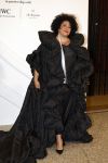 Amsterdam 15 november 2023
Harpers Bazaar woman of the year in het Stedelijk Museum . Tania Kross