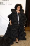 Amsterdam 15 november 2023
Harpers Bazaar woman of the year in het Stedelijk Museum . Tania Kross