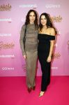 Amsterdam 22 oktober 2024
Premiere Gooische vrouwen in het DeLaMar theater.