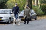 Huizen 24 november 2024
Linda de Mol en partner Jeroen Rietbergen aan het wandelen met hun 2 labradors / honden