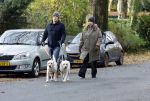 Huizen 24 november 2024
Linda de Mol en partner Jeroen Rietbergen aan het wandelen met hun 2 labradors / honden