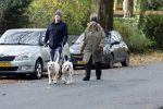 Huizen 24 november 2024
Linda de Mol en partner Jeroen Rietbergen aan het wandelen met hun 2 labradors / honden