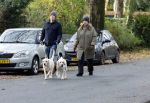Huizen 24 november 2024
Linda de Mol en partner Jeroen Rietbergen aan het wandelen met hun 2 labradors / honden