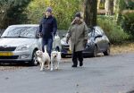 Huizen 24 november 2024
Linda de Mol en partner Jeroen Rietbergen aan het wandelen met hun 2 labradors / honden