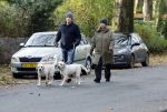 Huizen 24 november 2024
Linda de Mol en partner Jeroen Rietbergen aan het wandelen met hun 2 labradors / honden