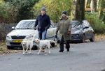 Huizen 24 november 2024
Linda de Mol en partner Jeroen Rietbergen aan het wandelen met hun 2 labradors / honden
