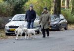Huizen 24 november 2024
Linda de Mol en partner Jeroen Rietbergen aan het wandelen met hun 2 labradors / honden