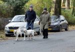 Huizen 24 november 2024
Linda de Mol en partner Jeroen Rietbergen aan het wandelen met hun 2 labradors / honden