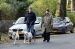 Huizen 24 november 2024
Linda de Mol en partner Jeroen Rietbergen aan het wandelen met hun 2 labradors / honden