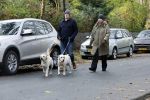 Huizen 24 november 2024
Linda de Mol en partner Jeroen Rietbergen aan het wandelen met hun 2 labradors / honden