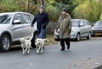 Huizen 24 november 2024
Linda de Mol en partner Jeroen Rietbergen aan het wandelen met hun 2 labradors / honden