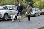 Huizen 24 november 2024
Linda de Mol en partner Jeroen Rietbergen aan het wandelen met hun 2 labradors / honden