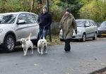 Huizen 24 november 2024
Linda de Mol en partner Jeroen Rietbergen aan het wandelen met hun 2 labradors / honden