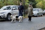 Huizen 24 november 2024
Linda de Mol en partner Jeroen Rietbergen aan het wandelen met hun 2 labradors / honden