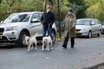 Huizen 24 november 2024
Linda de Mol en partner Jeroen Rietbergen aan het wandelen met hun 2 labradors / honden
