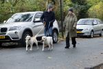 Huizen 24 november 2024
Linda de Mol en partner Jeroen Rietbergen aan het wandelen met hun 2 labradors / honden