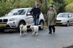 Huizen 24 november 2024
Linda de Mol en partner Jeroen Rietbergen aan het wandelen met hun 2 labradors / honden