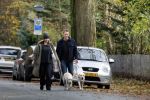 Huizen 24 november 2024
Linda de Mol en partner Jeroen Rietbergen aan het wandelen met hun 2 labradors / honden
