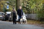 Huizen 24 november 2024
Linda de Mol en partner Jeroen Rietbergen aan het wandelen met hun 2 labradors / honden