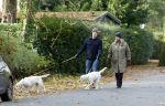 Huizen 24 november 2024
Linda de Mol en partner Jeroen Rietbergen aan het wandelen met hun 2 labradors / honden