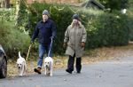 Huizen 24 november 2024
Linda de Mol en partner Jeroen Rietbergen aan het wandelen met hun 2 labradors / honden