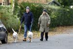Huizen 24 november 2024
Linda de Mol en partner Jeroen Rietbergen aan het wandelen met hun 2 labradors / honden