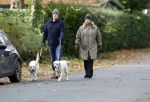 Huizen 24 november 2024
Linda de Mol en partner Jeroen Rietbergen aan het wandelen met hun 2 labradors / honden