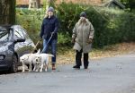 Huizen 24 november 2024
Linda de Mol en partner Jeroen Rietbergen aan het wandelen met hun 2 labradors / honden