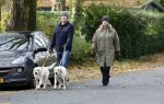 Huizen 24 november 2024
Linda de Mol en partner Jeroen Rietbergen aan het wandelen met hun 2 labradors / honden