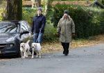 Huizen 24 november 2024
Linda de Mol en partner Jeroen Rietbergen aan het wandelen met hun 2 labradors / honden