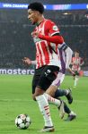 Eindhoven, 5 November 2024
Europacup 1 PSV-Girona, eindstand 4-0
Malik Tillman