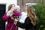 Amsterdam 29 november 2024
Fotouurtje Koninklijk huis met Koning Willem Alexander Koningin Maxima Prinses Amalia Prinses Alexia Prinses Ariane en hun hondje Mambo . De shoot vond plaats op het Begijnhof in het centrum van Amsterdam.