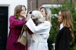 Amsterdam 29 november 2024
Fotouurtje Koninklijk huis met Koning Willem Alexander Koningin Maxima Prinses Amalia Prinses Alexia Prinses Ariane en hun hondje Mambo . De shoot vond plaats op het Begijnhof in het centrum van Amsterdam.