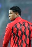 Eindhoven, 5 November 2024
Europacup 1 PSV-Girona, eindstand 4-0
Ryan Flamingo